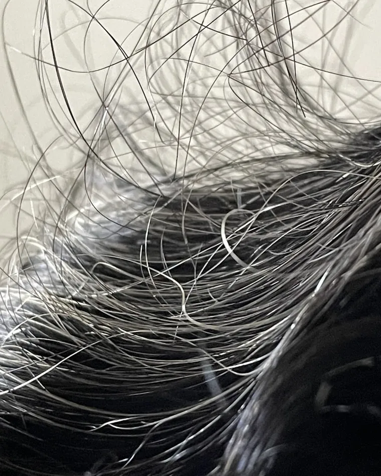 Cabelo emaranhado visto de perto, com aspecto sem corpo